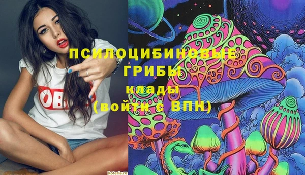 альфа пвп Армянск